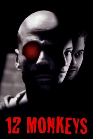 12 Monkeys (1995) Hindi Dual Audio 400MB HD Poster Download - filmyfly