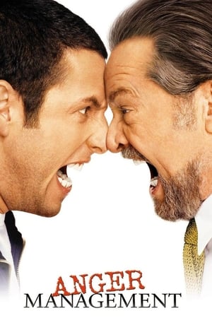 Anger Management (2003) Hindi Dual Audio –